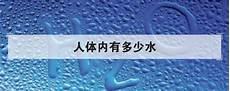 喝进去的水在人体的循环过程