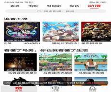 小白网看巴士2020手机版