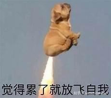 呼啦是什么意思