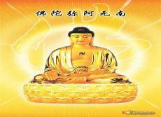 极乐世界人长什么样