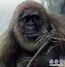 远古鸟类都有什么鸟